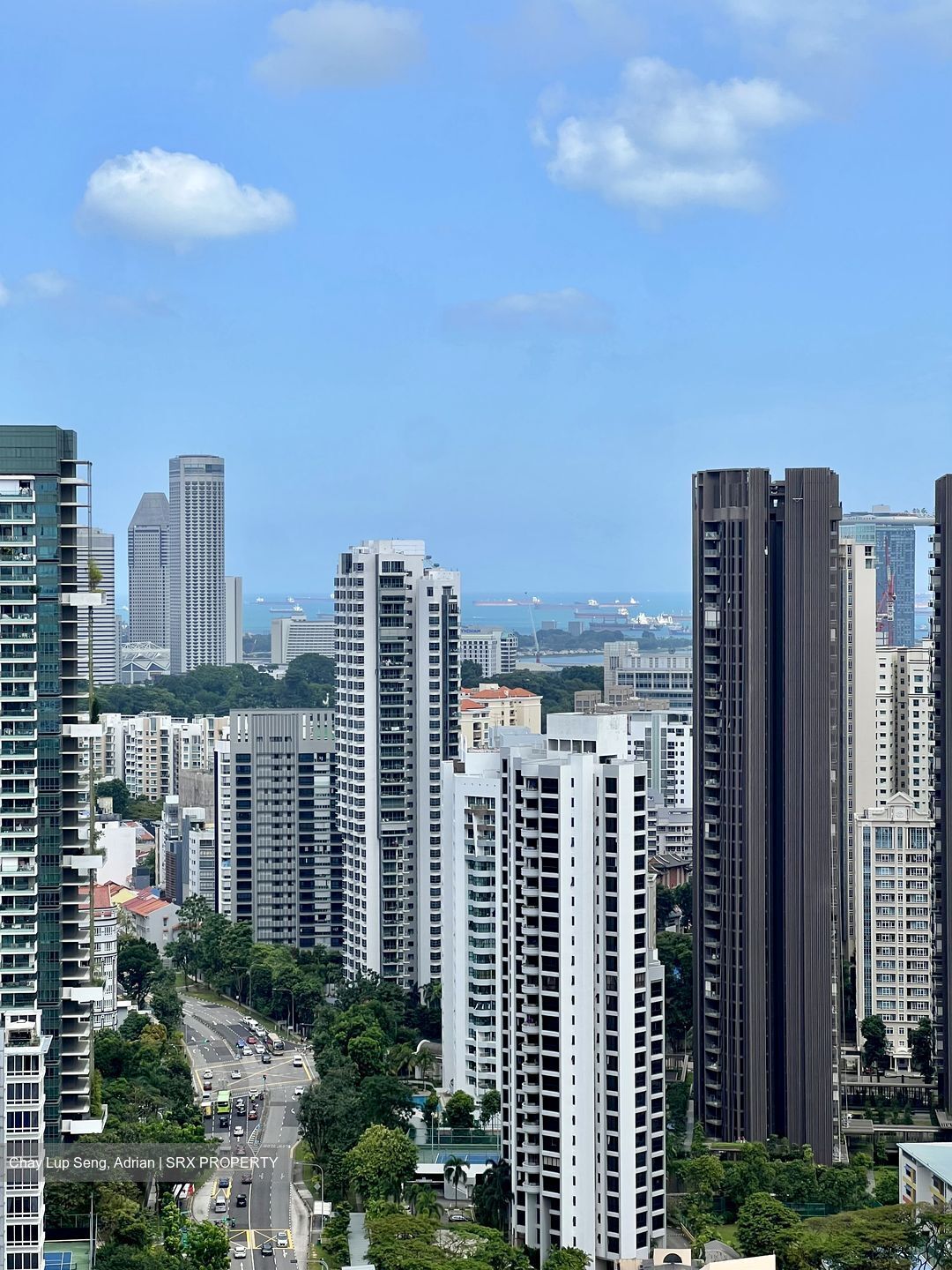 Irwell Hill Residences (D9), Apartment #445998791